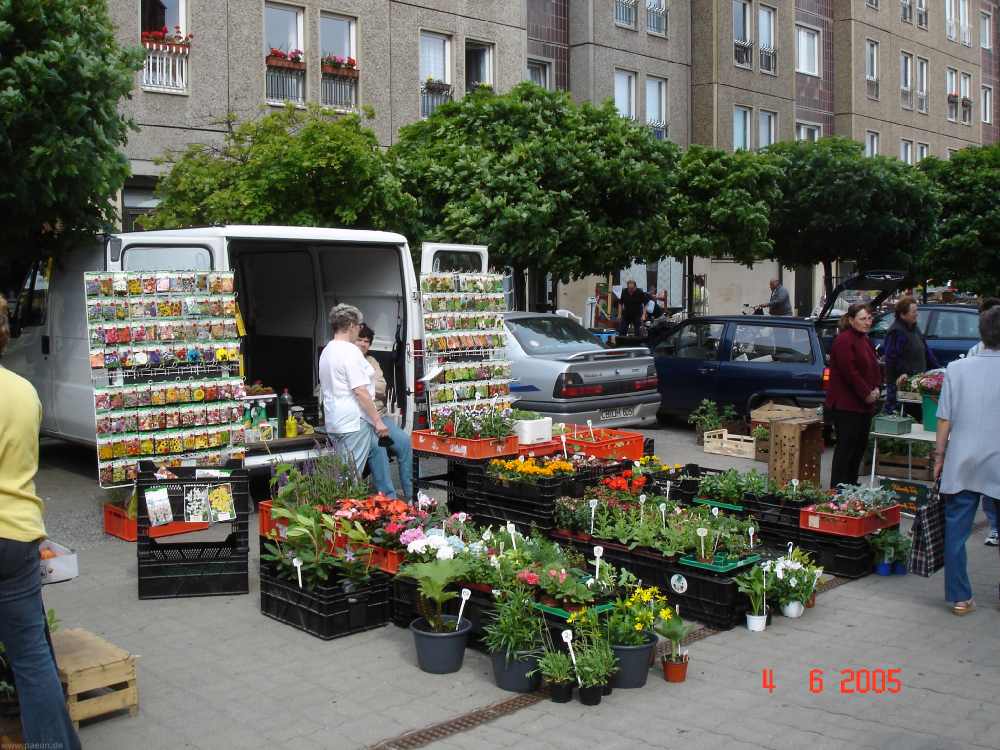 dsc07640