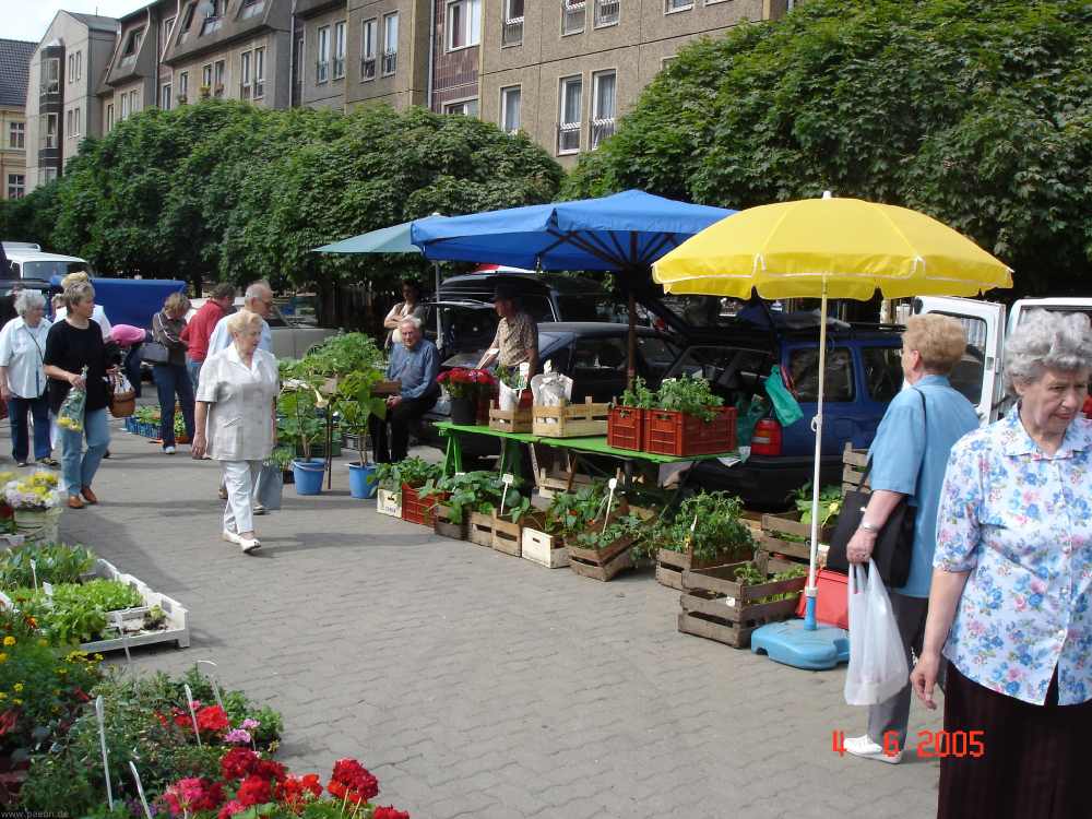 markt_in_cottbus3